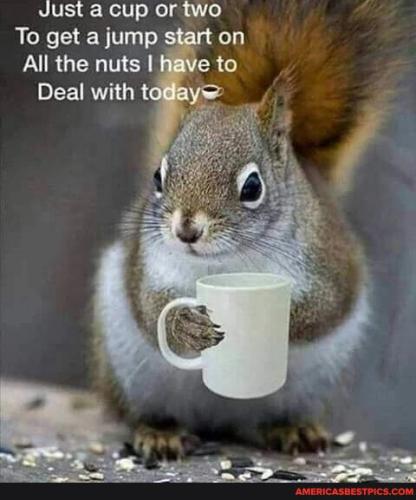 8e18088b59f95808cd23830d496eece3a7a0fe8ff4ccb2d3c0b3d0da6e33354a_1