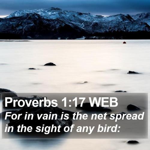 Proverbs 1_17