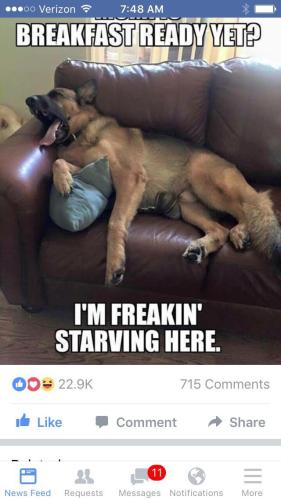 8e24e38bebd94af9813dcc367a56954c