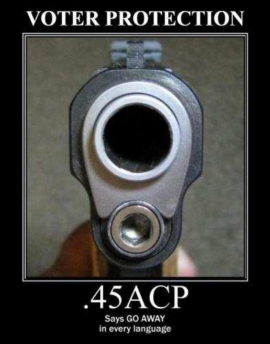 45 ACP Voter Protection.568px
