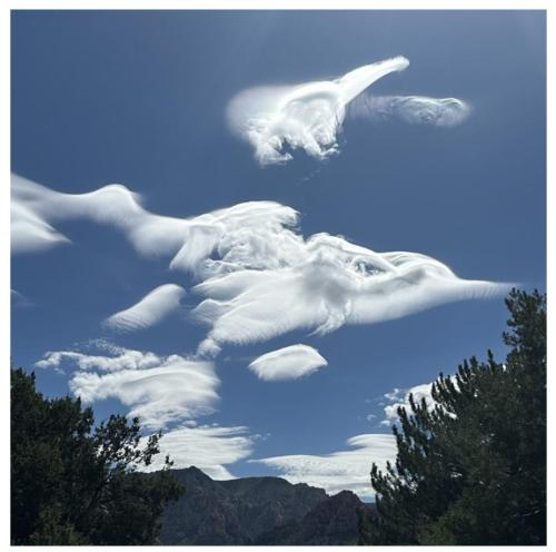 f0bc079a-af50-4b6f-8bae-1e4c5f619cc4