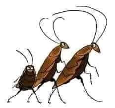 FB_IMG_1728241143414