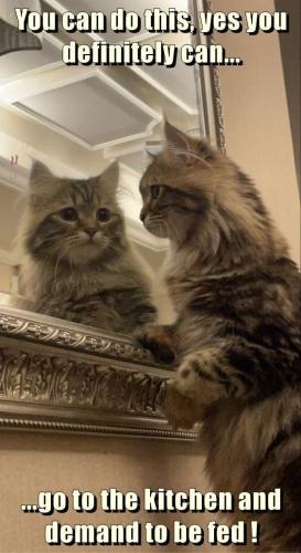 3ef8926d80b56efd2b32eeaafa54ac79