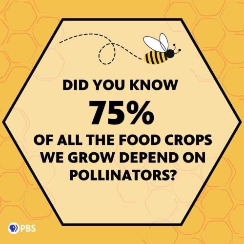 FB_IMG_1729883858949