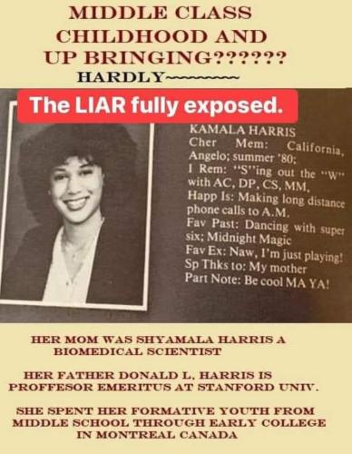 xephula_b54aa0cfc5b52107db850cc755714df6