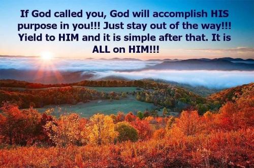 13bc17fa-1ab1-4cf1-be56-8dcccf65a6af