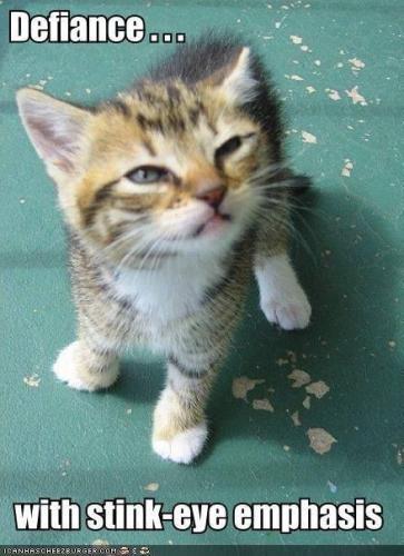 8b03a1ab104d4ffe4d3acaabe8f2b130