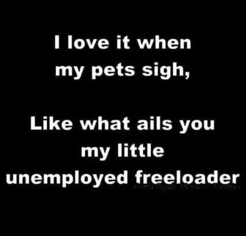 cd8f683f3b608414e8fe9caf9043a871