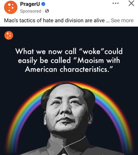 what is woke maoism with american characterists