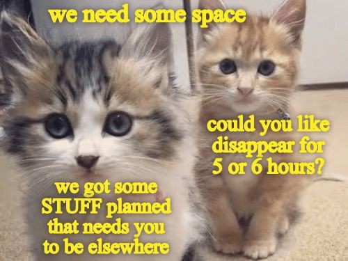 a96cad684197ca2ad0743673fd68324a