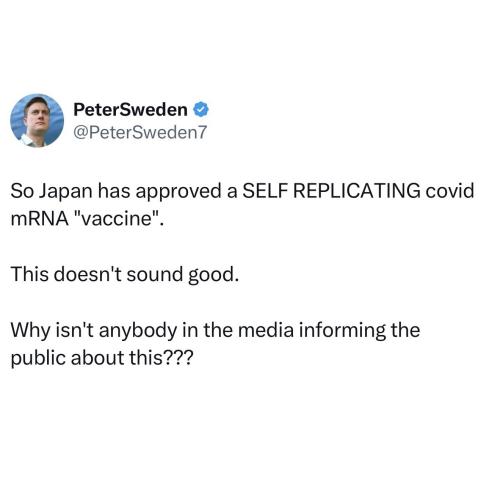 461613462_500650889517361_5248397133232964680_n