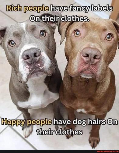 9b2c30530e221baf4bc6c8fce3b125a9e4312b252fa44a349c454b2c00e3b7d0_1