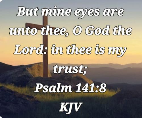 e846dd09-3aa4-4137-8a4e-bb7e97fab548