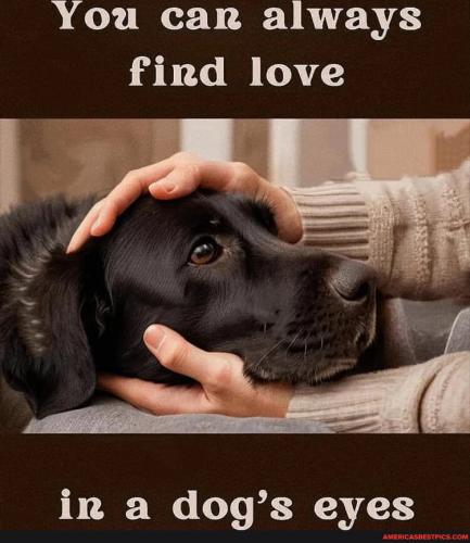 b1fd23a4d760d6796c716996963d4e6da38a641f9aafee827524508320e7e3ae_1