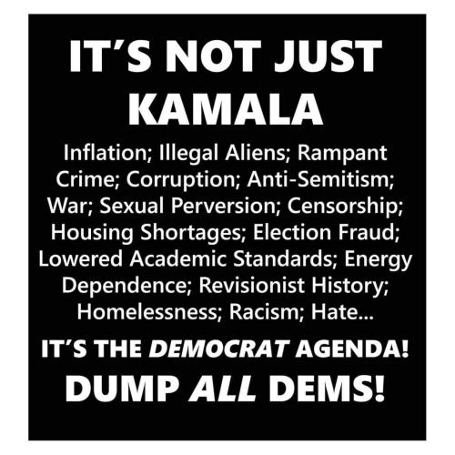 FB_IMG_1729078693559