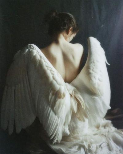 464147495_1743253026472155_1755506169827348147_n