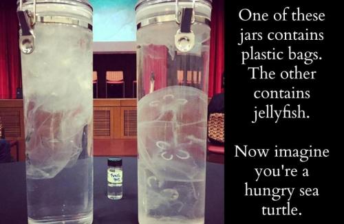 D5E5E5F5-9B69-42AD-9C00-6828CA89D439