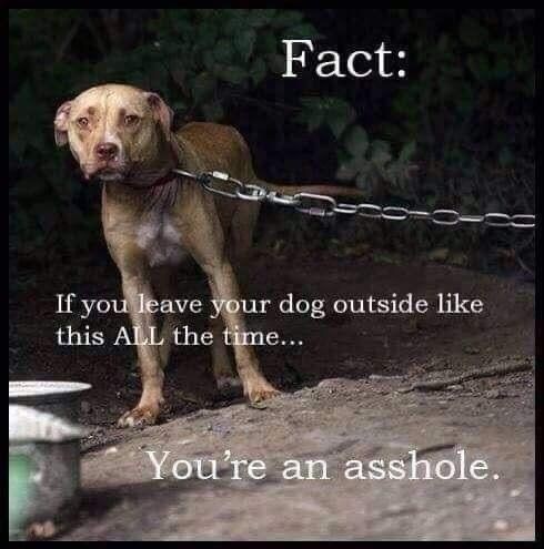 297b45fc35a3c19df0d39015ad89709a