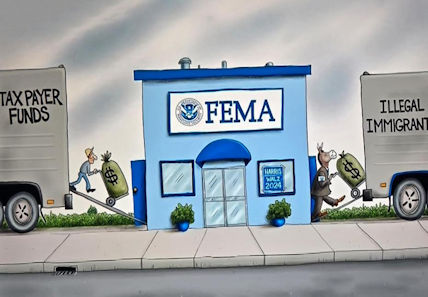 fema12