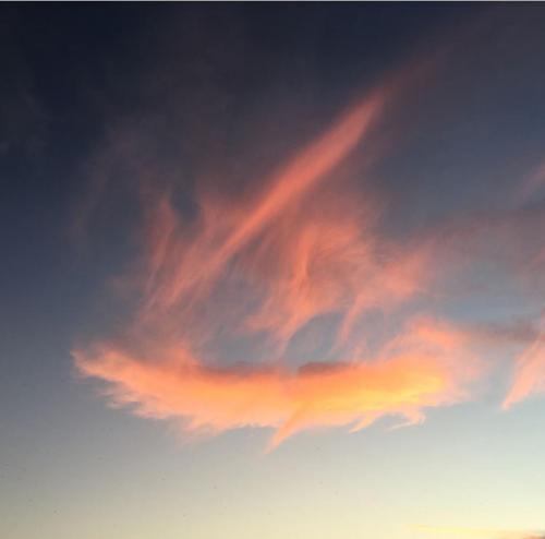 d0636730-aa70-4d1e-8f5b-ebae9e6020f9