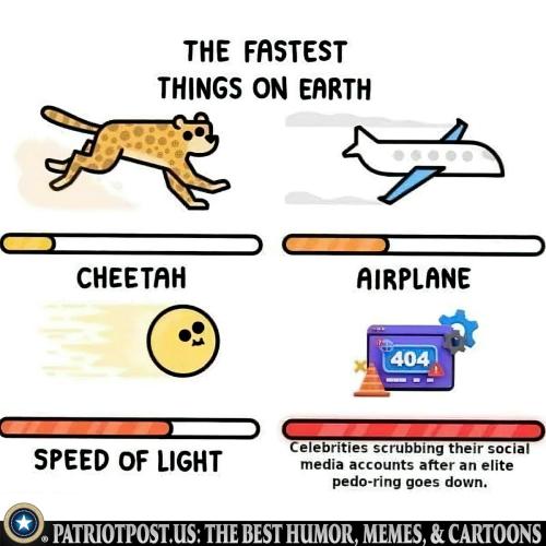 the fastest thing on earth