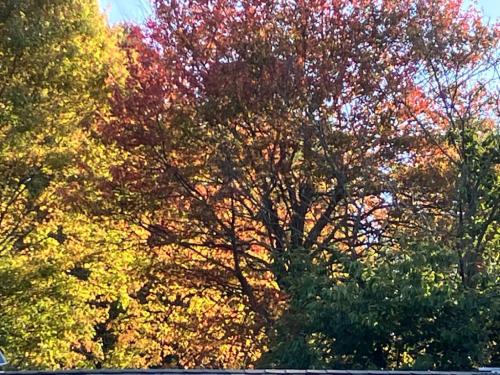 570B6CD9-576F-4834-8919-7B244AD4EC83