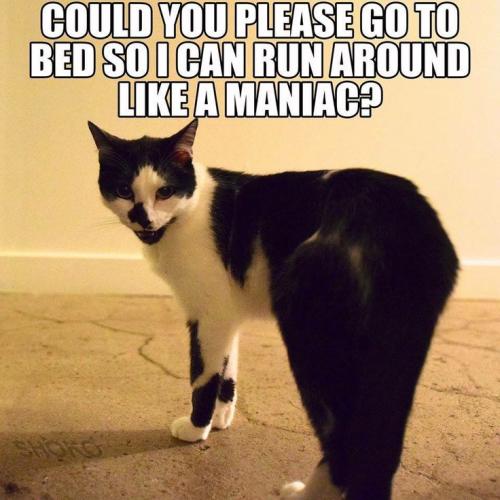 5190315d9ea86783911fb80c61c531e0