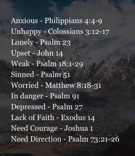 photo_2024-08-01_16-47-46