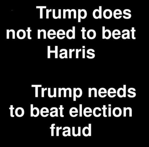 TRUMP ELECTION FRAUD