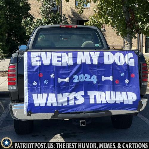 01JAVQR8T17V0CV0FZ7X7PE7KV