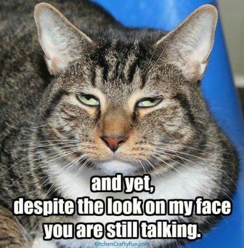 24a84112d7470e7e6bc7c842bcae08f2