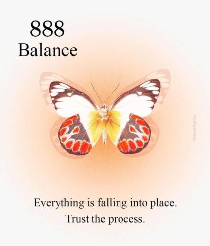 449332931_122112184322347870_5177969142071069710_n