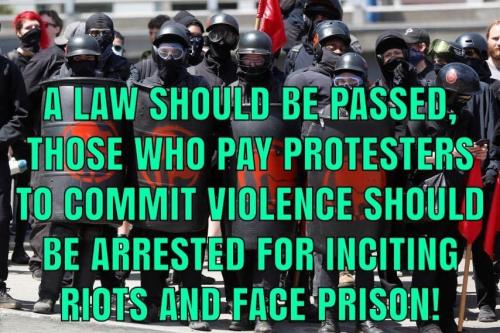 C180B7C0-7C9A-4EE6-84AA-6E35451D5903