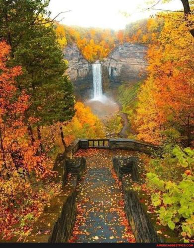 f33884db13cc03808d6a04194fe2a1eb3ec15cb6ed249488dd185237d2acfd60_1