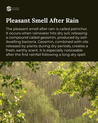 223e92fb-eb0b-4078-8ffb-79a2a83c52fc