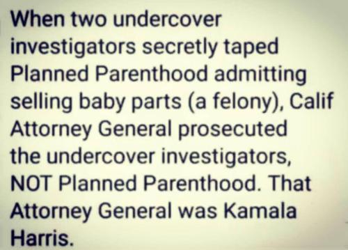 91575CA9-3C4C-4EA0-8353-6515C0BAD384