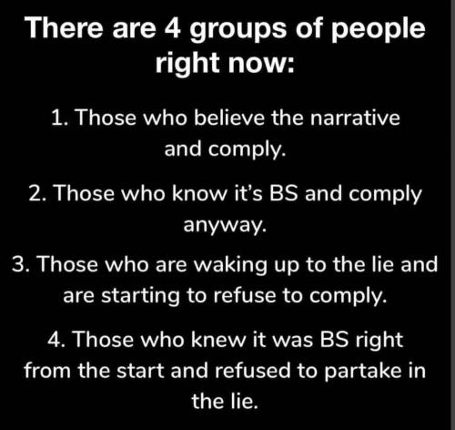 IMG_20241019_110615_681