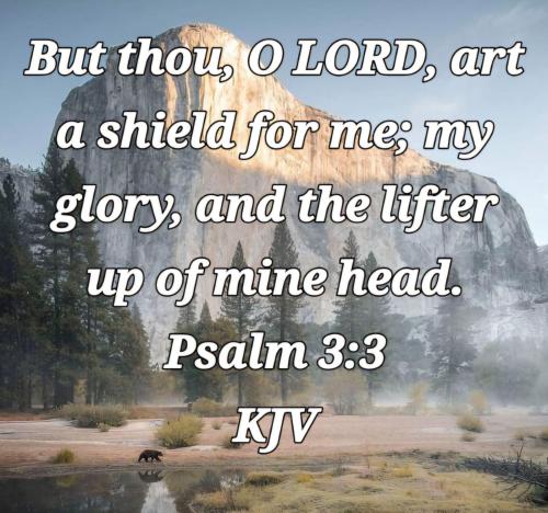 e2571512-96e7-4c4c-a225-798b96b2afd2