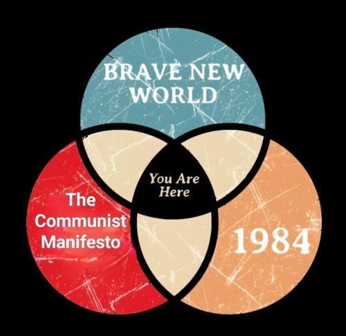 d62a5982-425e-46b8-bf5e-a3407247e686