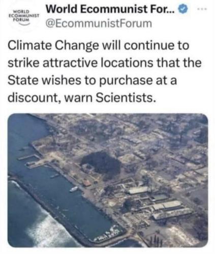 xephula_ac58d5a9a535694307d2c5d97e67f9c6