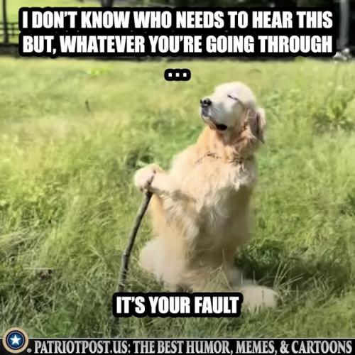 01JAERA4GPFNNYGMRD7R7SK4J2