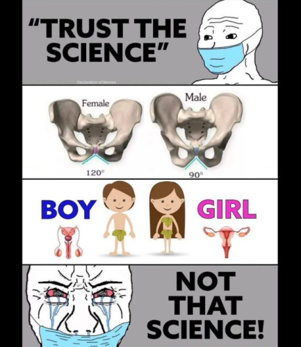 image_2024-10-06_092955617