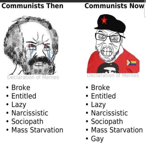 image_683687DB-5A9B-47BE-B74B-B827B52CD9A1