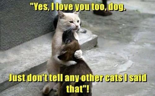 b0657936123c5454a36fee1c4e3124b4