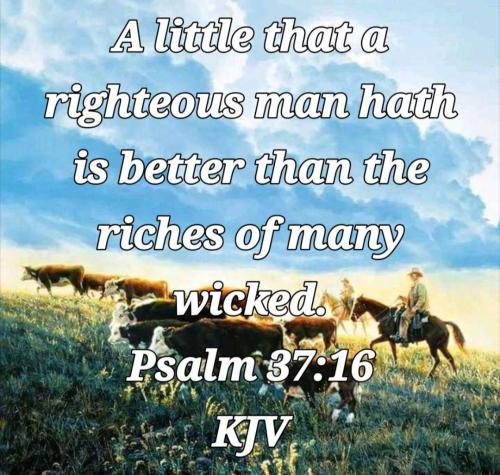 b4dc7cb4-afa4-4f17-821d-716ccc008dcf