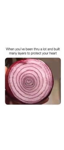 464227710_1147610577192732_2448378557465195747_n