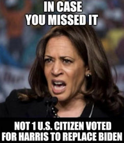 kamala harris557
