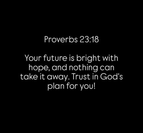 photo_2024-10-30_12-16-49