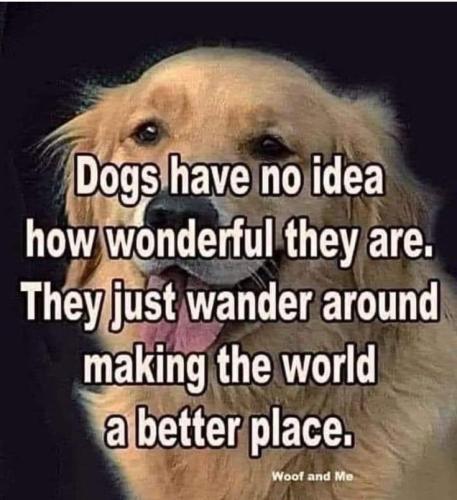 3a617089d5e319f9e66663c0c6d8d0fa