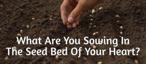 2eda6bdb-3e75-4326-aba8-4601a417b077